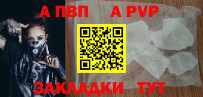 СК Новозыбков