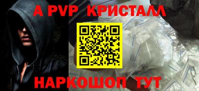 СК Новозыбков