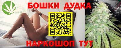 СК Новозыбков