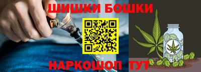 СК Новозыбков