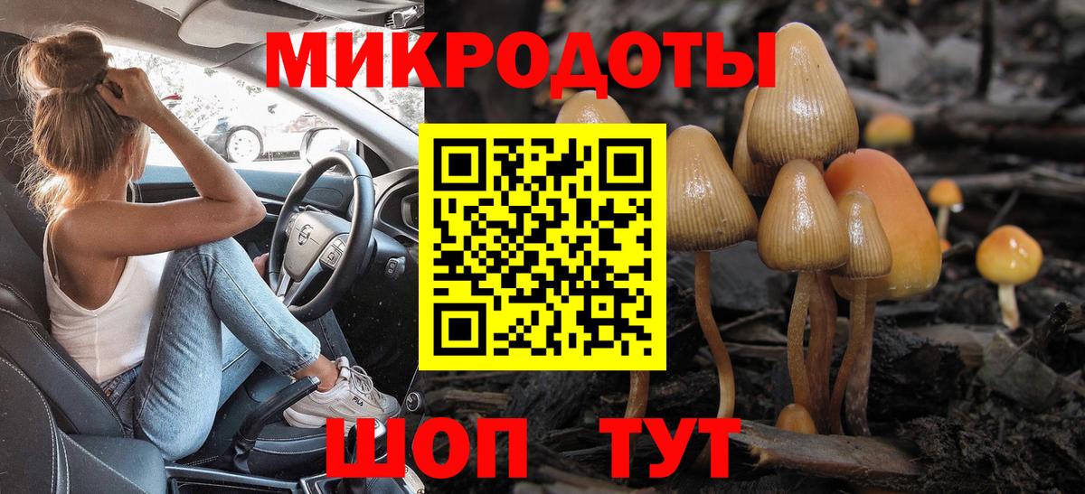 Галлюциногенные грибы Cubensis Реутов