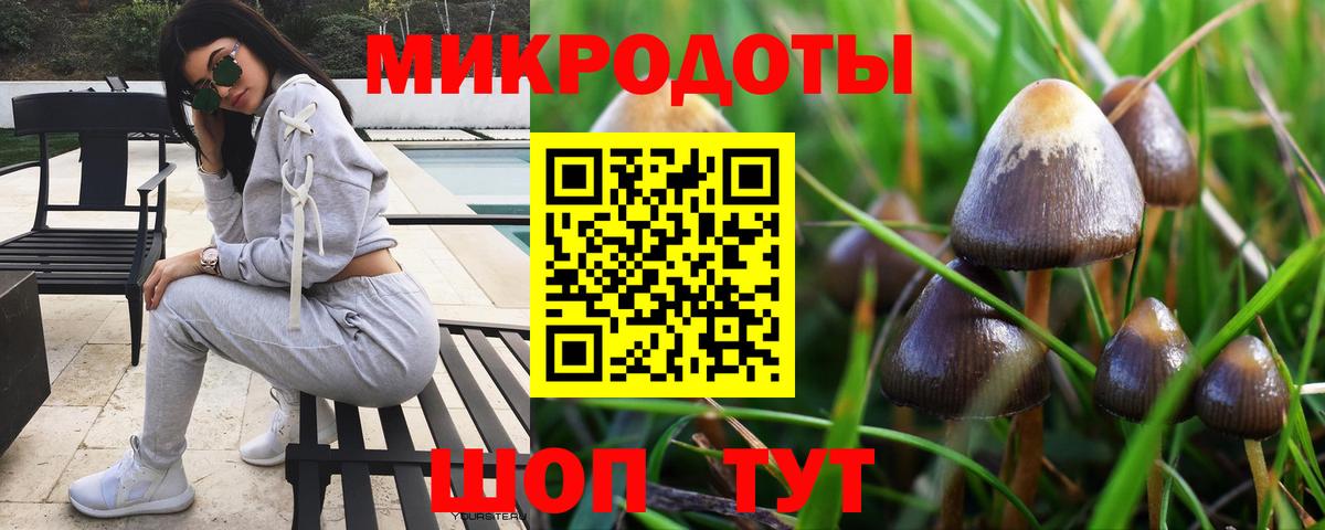 Реутов  Галлюциногенные грибы Psilocybe  наркота  Галлюциногенные грибы ЛСД  Вход с VPN 